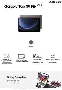Volantino - Samsung TABLET S9 FE+ 12/256GB WIFI GRAY