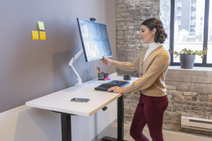 17360935568619-ergotronmxvseriesmxvdeskmonitorarm864cm34scrivaniabianco