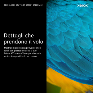 17371775757573-xeroxcartucciatonermagentaperphaser7100