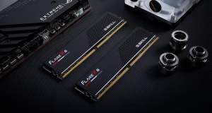 17411437887698-gskillflarex5f55600j4040d48gx2fx5memoria96gb2x48gbddr55600mhz