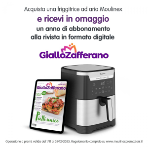 17425633135542-moulinexeasyfrygrillxxlsingoloindipendentefriggitriceadariacaldaneroacciaioinox