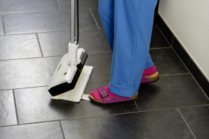17425848251339-karcherscopalavapavimentiavaporesc1upright