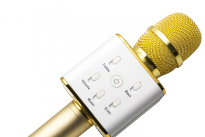 17426109201967-technaxxbtx31orobiancomicrofonoperkaraoke