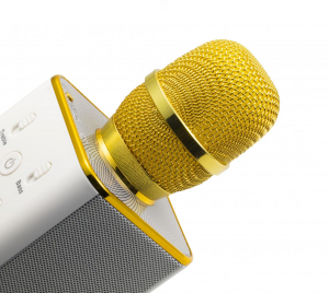 17426109233882-technaxxbtx31orobiancomicrofonoperkaraoke