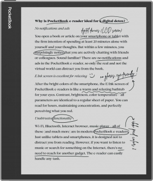 17426140891263-pocketbookinkpadeomistgreylettoreebooktouchscreen64gbwifinerogrigio