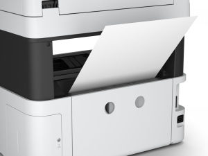 17426261868347-epsonecotanket5150