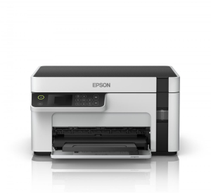 17426263427154-epsonecotanketm2120