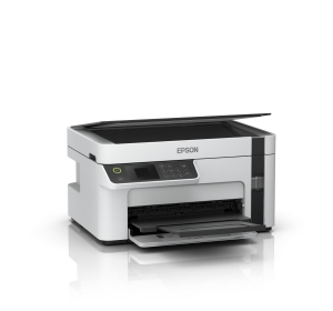 17426263470181-epsonecotanketm2120
