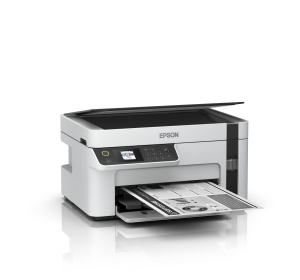 17426263492321-epsonecotanketm2120