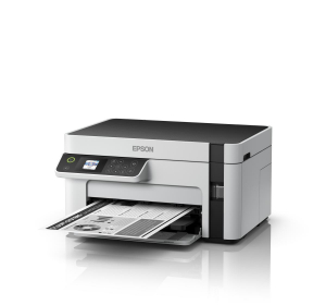 17426263516795-epsonecotanketm2120