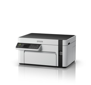 17426263538338-epsonecotanketm2120