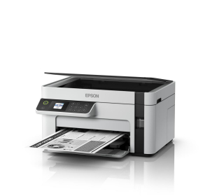 1742626356104-epsonecotanketm2120