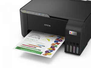 17426264216521-epsonecotanket2810