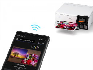 17426269087341-epsonecotanket8500
