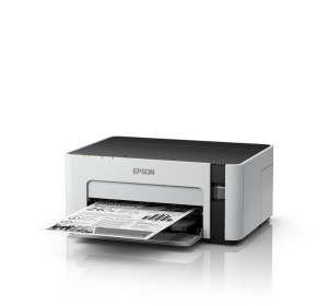 1742627196678-epsonecotankstampanteetm1120