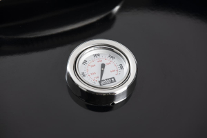 17426416731886-webergbse5750grillcarrellocarbonecombustibileneroargento