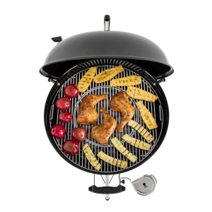 17426416839911-webergbse5750grillcarrellocarbonecombustibileneroargento