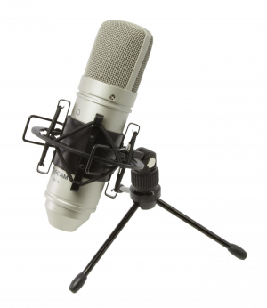 17426772221223-tascamtm80microfonooromicrofonodastudio