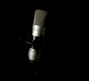 17426772260036-tascamtm80microfonooromicrofonodastudio