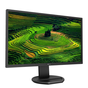 17427445952173-philipsblinemonitorlcd221b8ljeb00