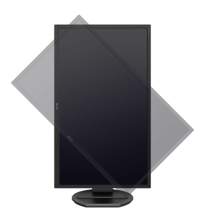 17427445964002-philipsblinemonitorlcd221b8ljeb00