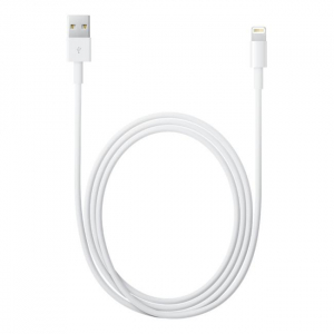 17427637040808-applecavodalightningausb2mt