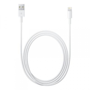 17427637043923-applecavodalightningausb2mt