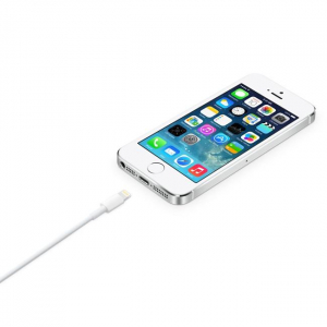17427637047794-applecavodalightningausb2mt