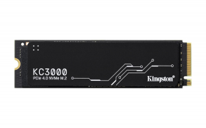 17427799856311-kingstontechnology4096gkc3000m22280nvmessd
