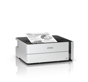 17428073083765-epsonecotanketm1180