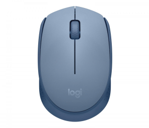 17428298198188-logitechm170