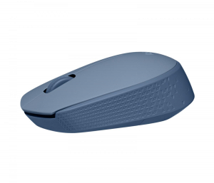 17428298206589-logitechm170