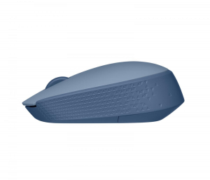 17428298214165-logitechm170