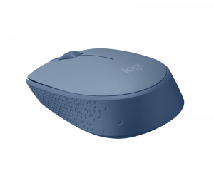 17428298223151-logitechm170
