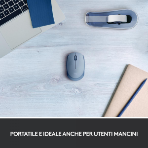 17428298267558-logitechm170
