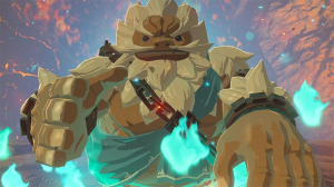 1742873408782-nintendothelegendofzeldabreathofthewildswitchstandardfrancesenintendoswitch