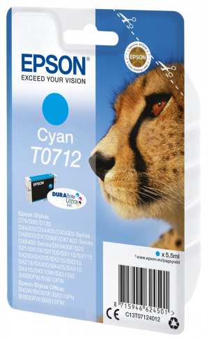 17429188039066-epsoncheetahcartucciaciano