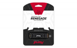 17429472055995-kingstontechnology1000gfuryrenegadem22280nvmessd