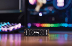 17429472391268-kingstontechnology1000gfuryrenegadem22280nvmessd
