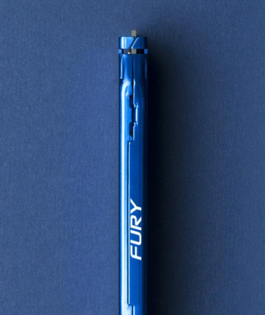 17429657407381-kingstontechnologyfurybeastmemoria8gb1x8gbddr31600mhz
