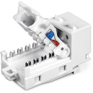 17430085384941-trendnettck50c6modulokeystone