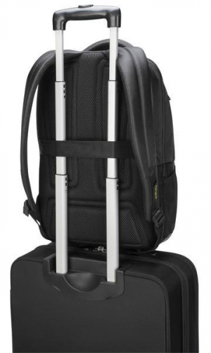17430091824929-targuscitygear439cm173zainonero
