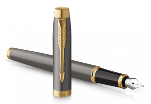 17430108288149-parkerimpennastilograficagrigio1pz