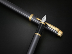 17430108479585-parkerimpennastilograficagrigio1pz
