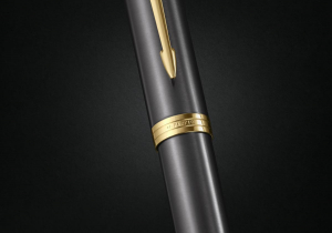 17430108526375-parkerimpennastilograficagrigio1pz