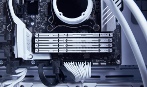 1743011665488-kingstontechnologyfurybeast16gb5200mtsddr5cl36dimmwhiteexpo