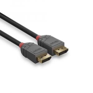 17430240300991-lindy36487cavodisplayport15mnero