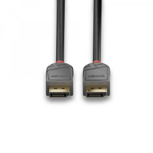 17430240306313-lindy36487cavodisplayport15mnero