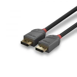 17430240311661-lindy36487cavodisplayport15mnero