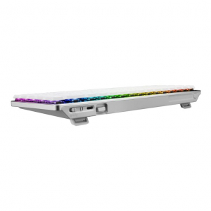 17431176560633-asusrogfalchionrxlowprofiletastieragamingusbrfwirelessbluetoothqwertzbianco